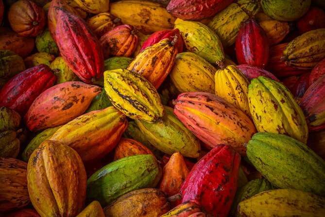 Swiss Chocolate Tasting Experience | Basel - Is it suitable for children?