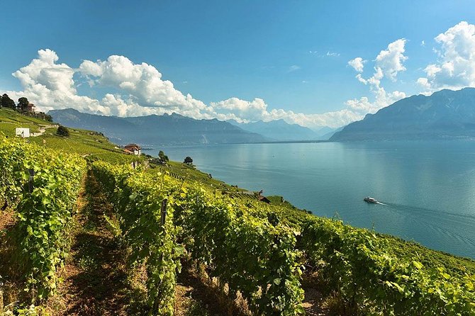 Swiss Wine Tasting at Lavaux Vineyards: Private Trip from Geneva - Why Lavaux makes a better wine day than a city tasting
