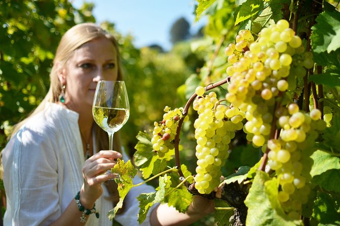 Swiss Wine Tasting at Lavaux Vineyards: Private Trip from Geneva - The value of a private tour at $1,638.08