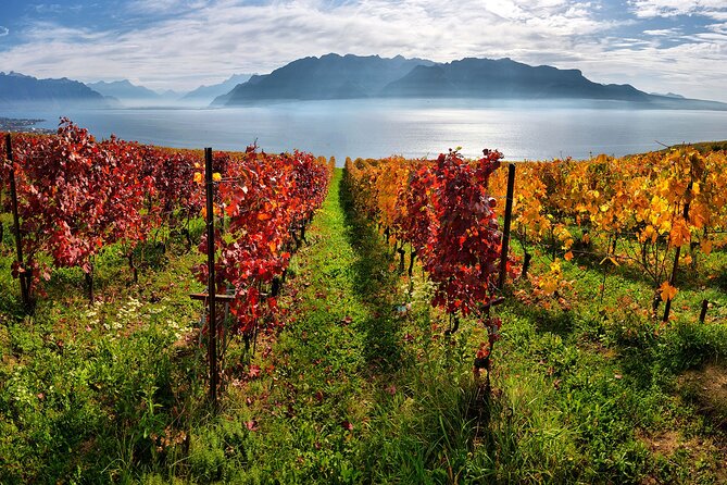 Swiss Wine Tasting at Lavaux Vineyards: Private Trip from Geneva - What is included, and what is not