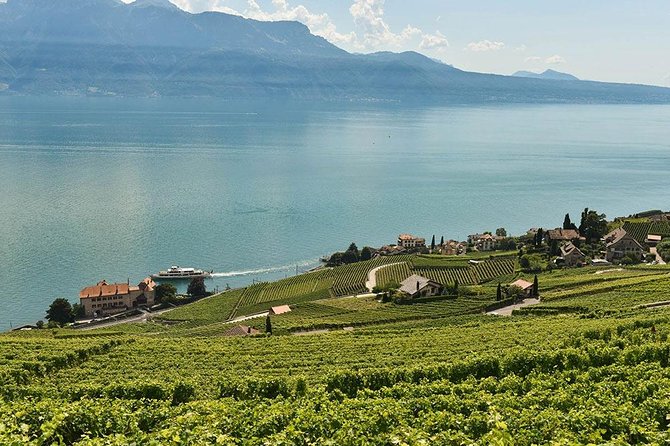 Swiss Wine Tasting at Lavaux Vineyards: Private Trip from Geneva - Leaving Geneva with a private driver