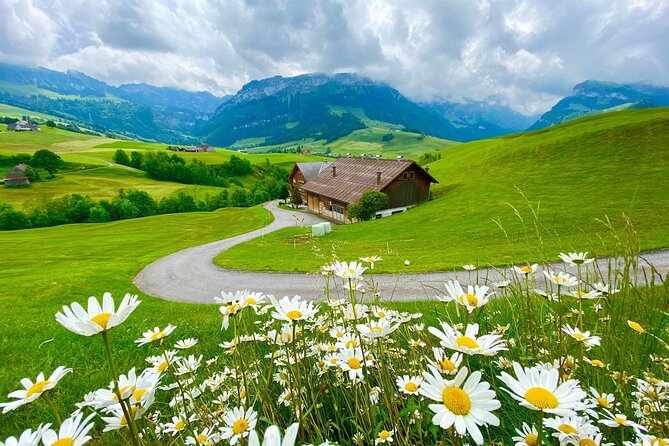 Switzerland Picturebook Private Tour: Farm, Villages, & Mountains - What the private format really adds