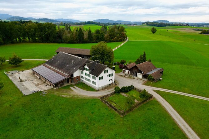 Switzerland Picturebook Private Tour: Farm, Villages, & Mountains - Timing, transport, and the eight-hour schedule