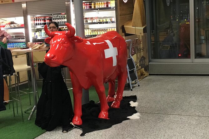 Taxi, Airport Transfer and Limousine Service in Switzerland - Who will get the most from this service?