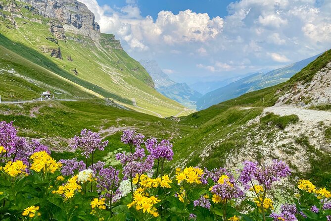 The natural wonders of Switzerland: private tour from Basel (1 day) - A traditional village beneath a 100-meter waterfall