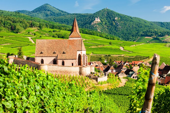 The Vine Tour from Zurich (Private Tour) - Zurich to Basel: a long day with a broad reach