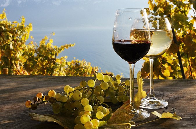 The Vine Tour from Zurich (Private Tour) - Timing, weather, and who should book