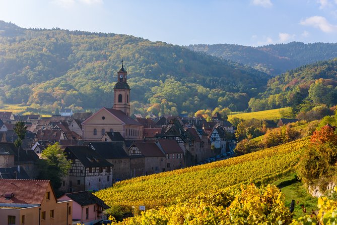 The Vine Tour from Zurich (Private Tour) - A 20-minute look at the Rhine