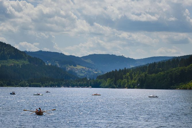 Trip from Zurich to Germany's Black Forest & Swiss Rhine Falls - Leaving Zurich for a day in two countries