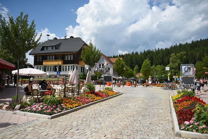 Trip from Zurich to Germany's Black Forest & Swiss Rhine Falls - Lake Titisee gives the day room to breathe