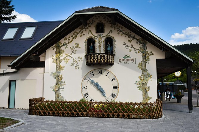 Trip from Zurich to Germany's Black Forest & Swiss Rhine Falls - Who should book this Black Forest day trip?