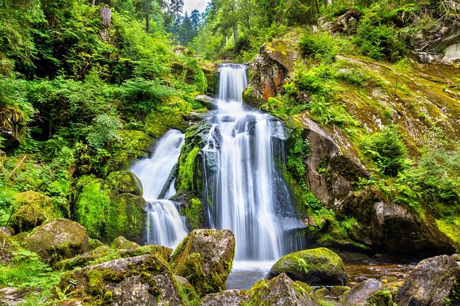 Trip from Zurich to Germany's Black Forest & Swiss Rhine Falls - Should you book it?