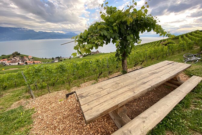 Vine Stories: Lavaux & Lutry wine walk - Starting near Lutry and Grandvaux