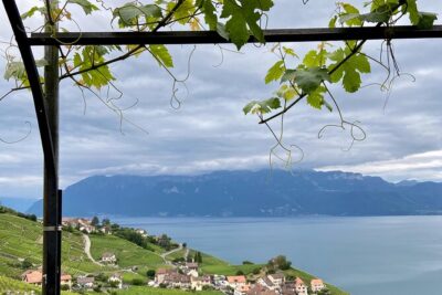 Vine Stories: Lavaux & Lutry wine walk