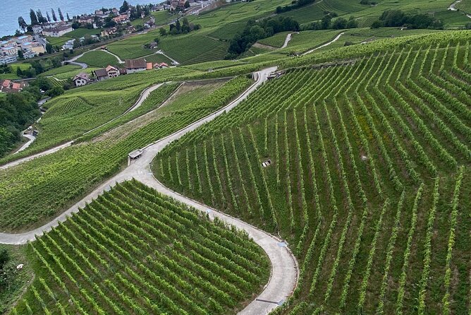 Vine Stories: Lavaux & Lutry wine walk - Timing, weather, and what to bring