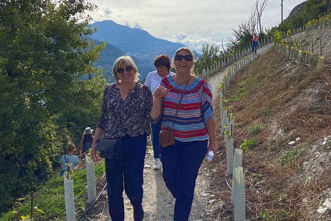 Wine and Dine Vineyard Walk in Sion - Starting at Les Celliers de Sion