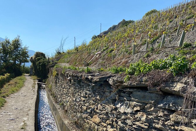 Wine and Dine Vineyard Walk in Sion - Local cheeses and the slower pace of tasting