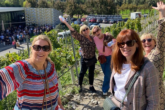 Wine and Dine Vineyard Walk in Sion - Tasting Valais wines at Les Celliers de Sion