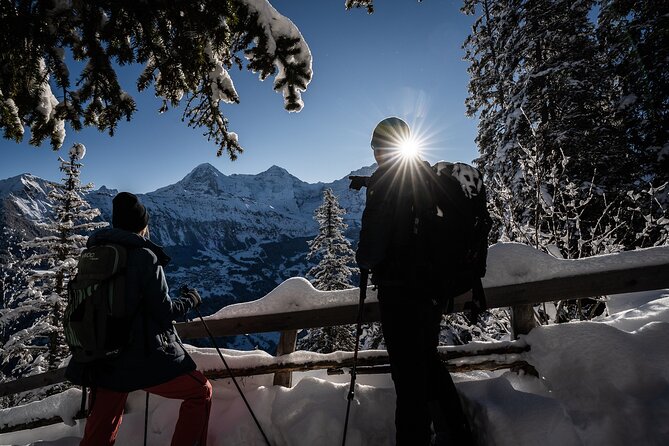 Winter Alpine Adventure - Starting Near Interlaken at 9:30 am