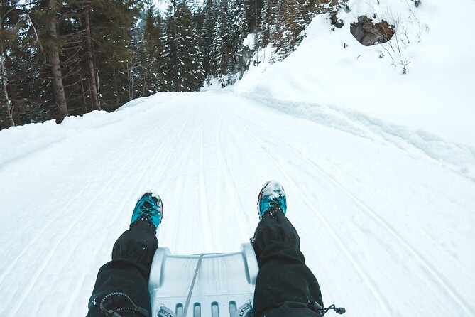 Winter Alpine Adventure - Sledding Down to Isenfluh