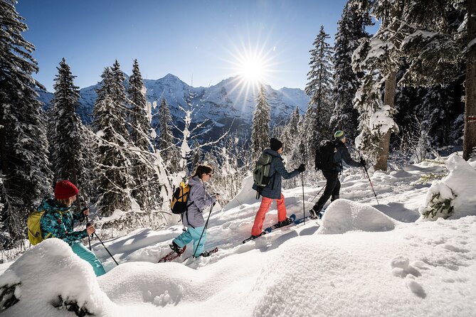 Winter Alpine Adventure - The Gondola Ride to Sulwald
