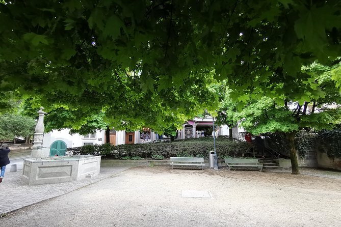 Zürich Historic District Tour - Brunngasse and a private old picture