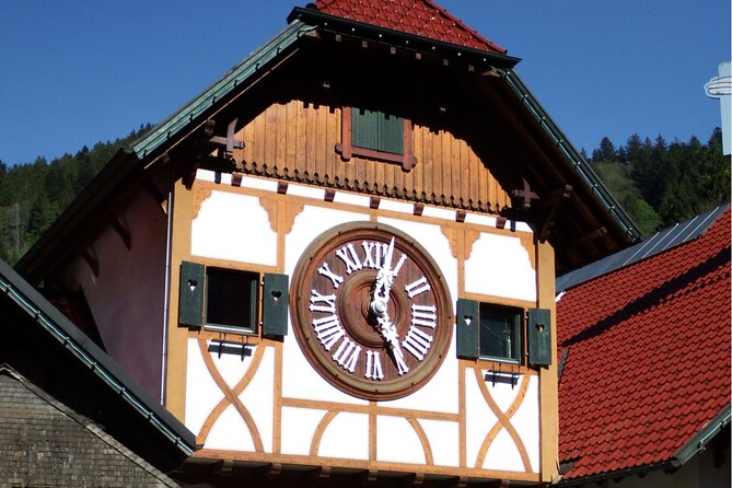 Zürich: Private Car Tour to Rhine Falls, Titisee and Black Forest - Schaffhausen: a short look at Upper Rhine architecture