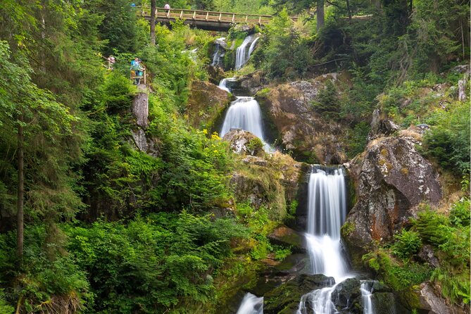 Zürich: Private Car Tour to Rhine Falls, Titisee and Black Forest - What the private car adds to the price