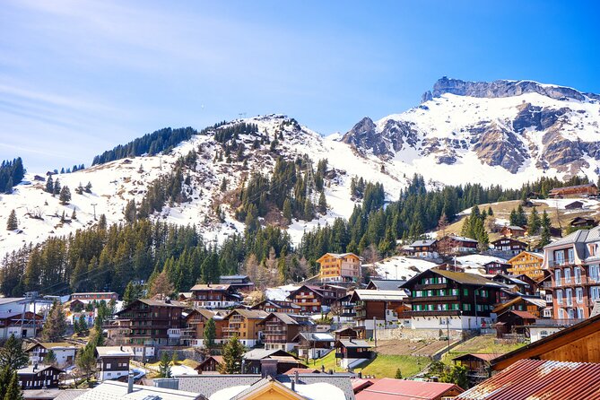 Zurich: Private Daytrip to Swiss Villages(Interlaken-Grindelwald) - Vehicle size and comfort deserve attention