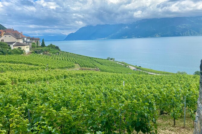 Zurich Private Tour - Gruyères, Cheese, and Lavaux's UNESCO Wine - Key points at a glance