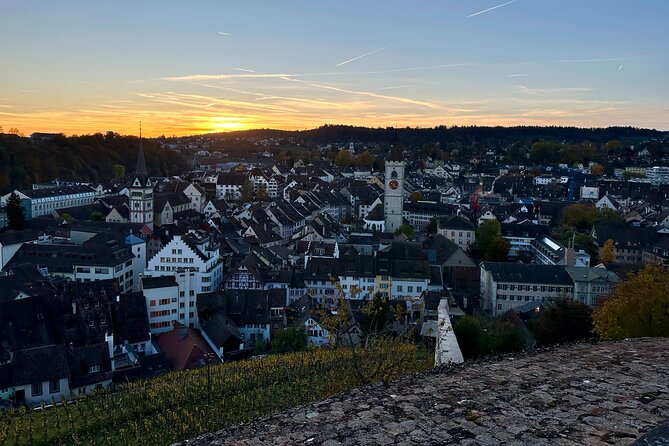 Zurich Private Tour: Stein Am Rhein Schaffhausen and Rhine Cruise - Rail travel, pace, and the private guide