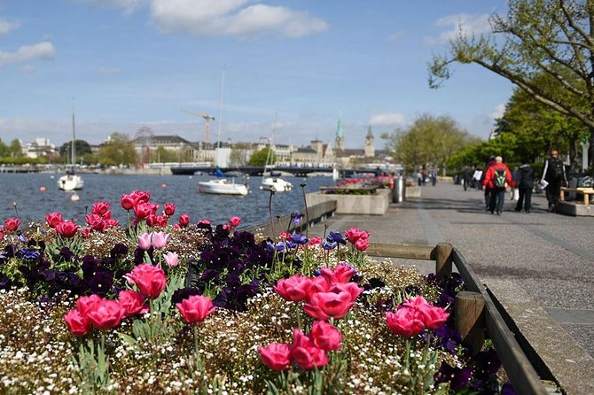 Zurich Sightseeing Private Walking Tour - Who Will Get the Most From This Walk?
