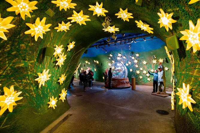 Zurich: Small group tour to Jungfrau, Grindelwald & Interlaken - Inside the Ice Palace and Alpine Sensation